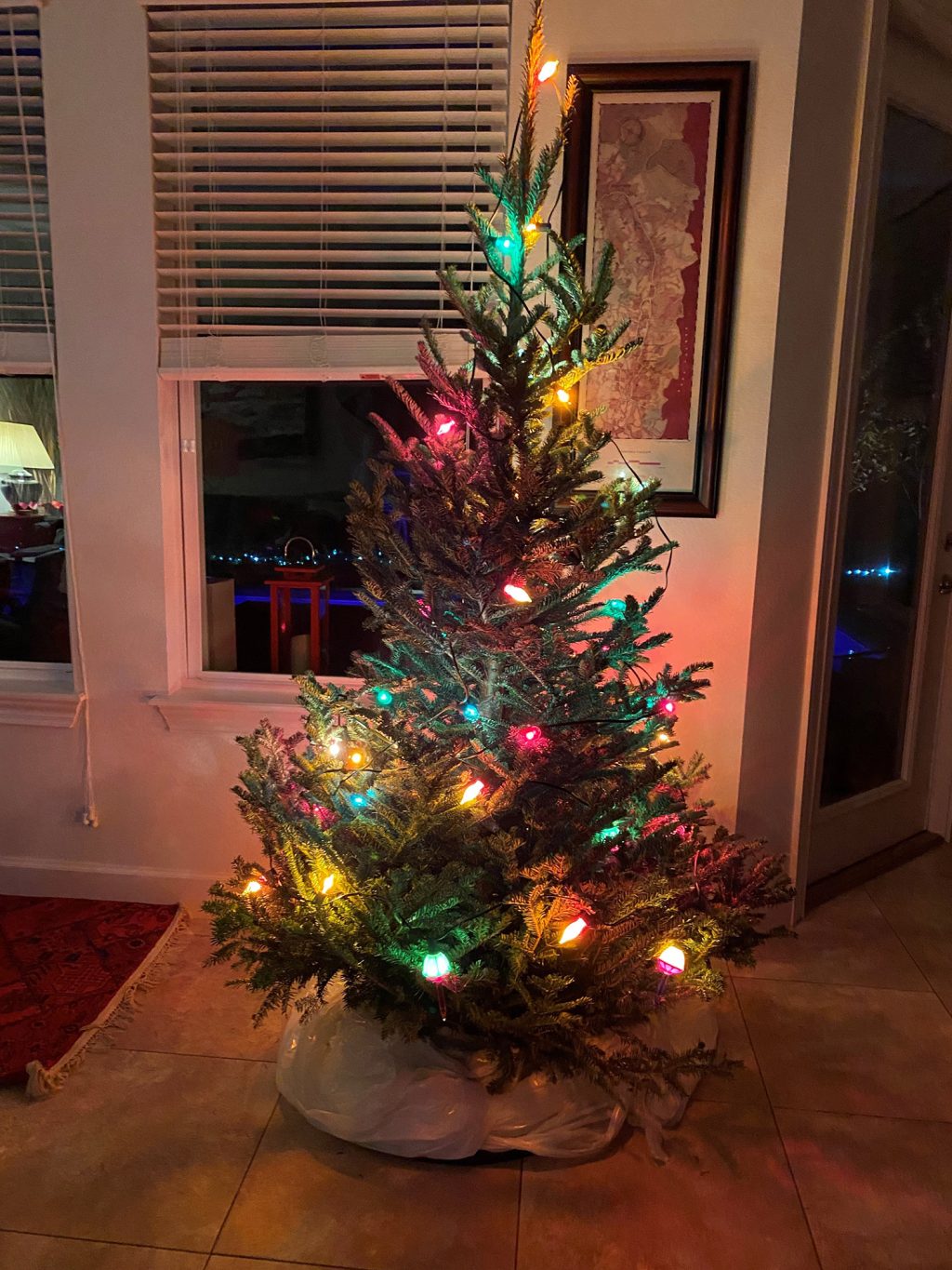 Where Does the Christmas Tree Go? Housing Design Matters