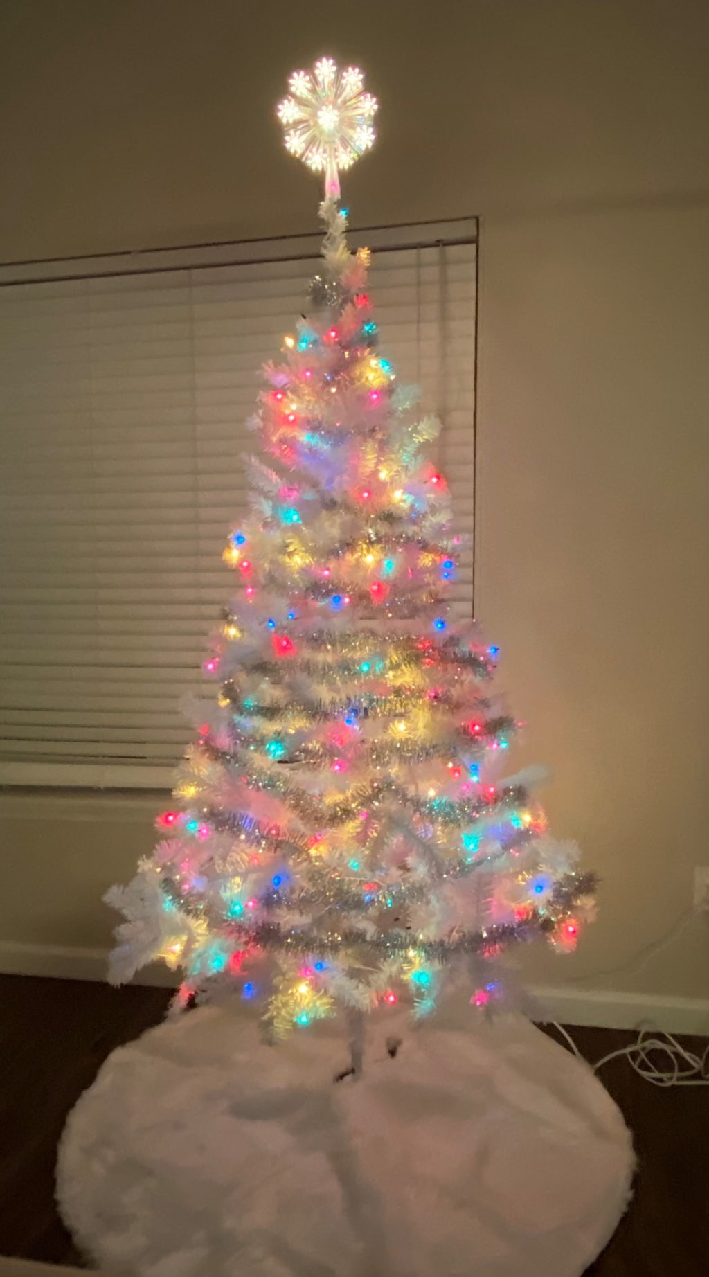 Where Does the Christmas Tree Go? Housing Design Matters